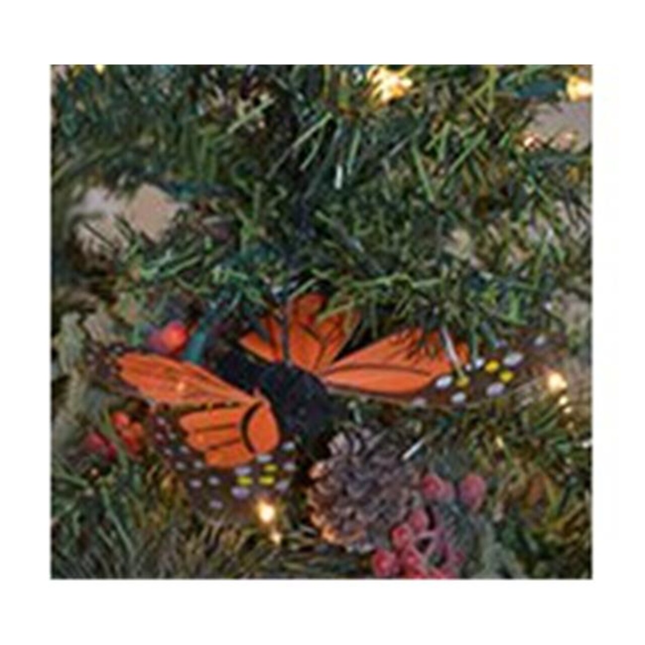 Brushart BRUSHOR111M Monarch Butterfly Imaginative Gifts